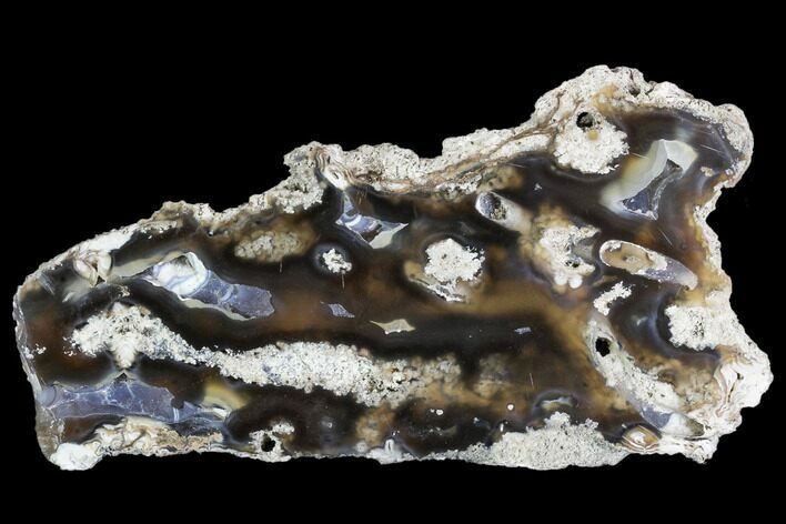 Agatized Fossil Coral Geode - Florida #105324
